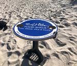Beach Table